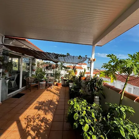 Orquideas Apartamento